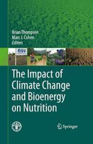 The impact of climate change and bioenergy on nutrition